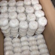 Fresh-Natural-pure-white-garlic