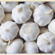 Fresh-garlic-Normal-White-Garlic-Pure-White.jpg_350x350