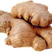 Ginger CSG Ginger CSG