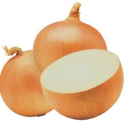 ONION SCG1