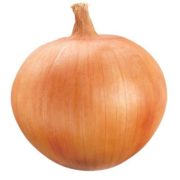 Onion CSG