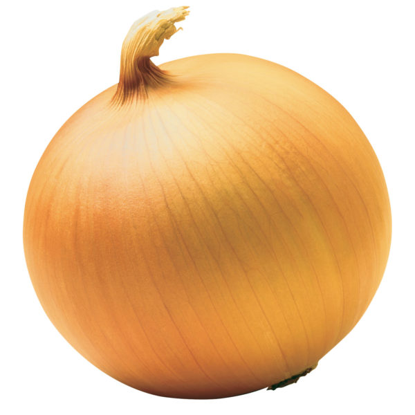 QUALITY ONION CSG