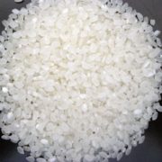 japonica rice japonica rice