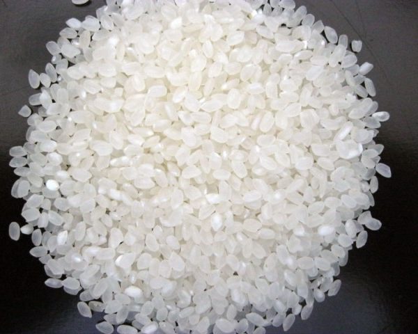 japonica rice japonica rice